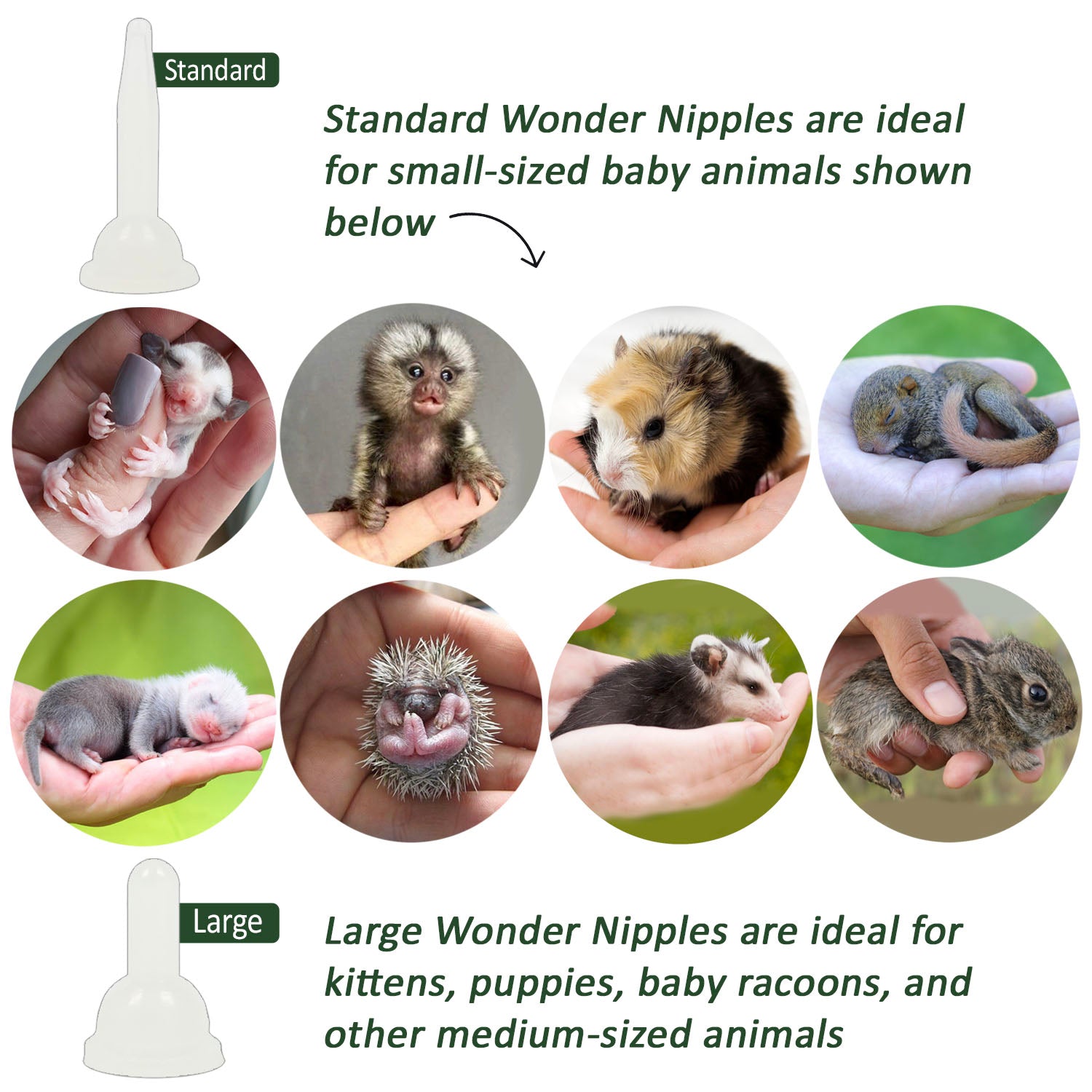 Wonder Nipple - Breastfeeding Nipple Shield for Nursing Comfort | Soft Silicone Nipple Covers for Pain Relief & Latch Support | Ideal for New Moms, Breastfeeding Essentials, Baby Shower Gifts