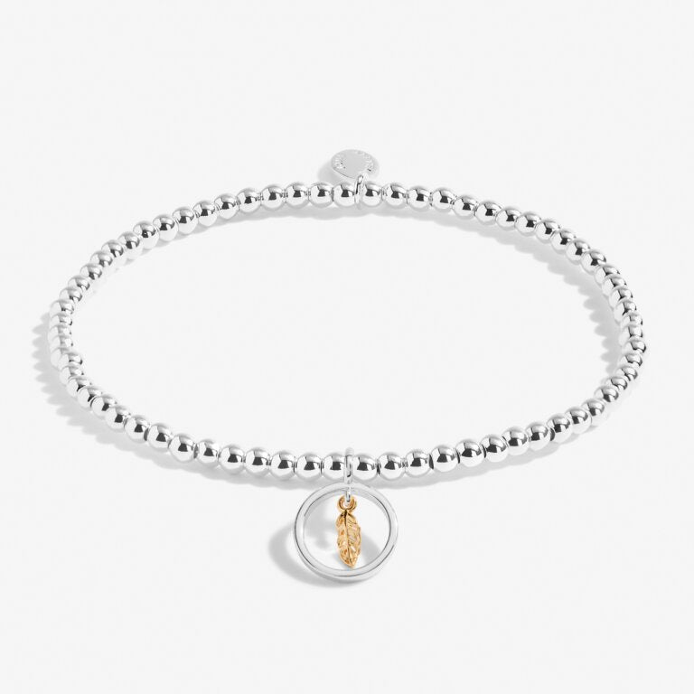 Joma Jewellery Boxed 'A Little Feathers Appear When Loved Ones Are Near' Charm Bracelet - Meaningful Gift for Mom, Wife, Daughter | Birthday, Anniversary, Christmas Present | Spiritual Reminder of Loved Ones