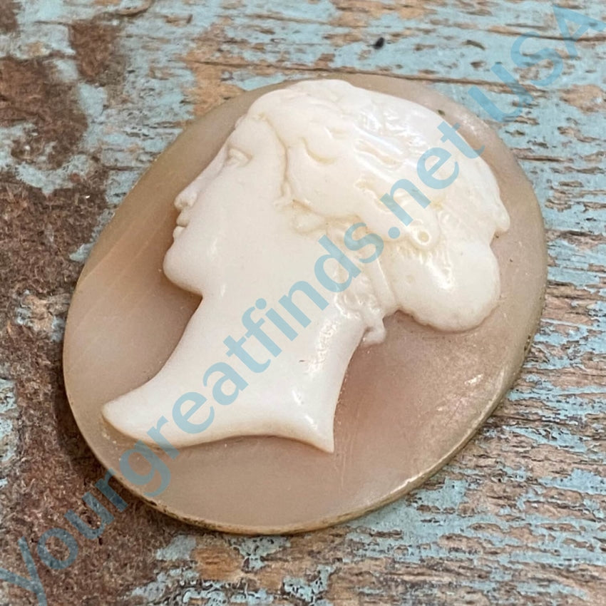Vintage Antique Shell Cameo Pendant - Unset for Jewelry Making, DIY Crafting & Collectibles | Perfect for Necklaces, Brooches & Heirloom Gifts