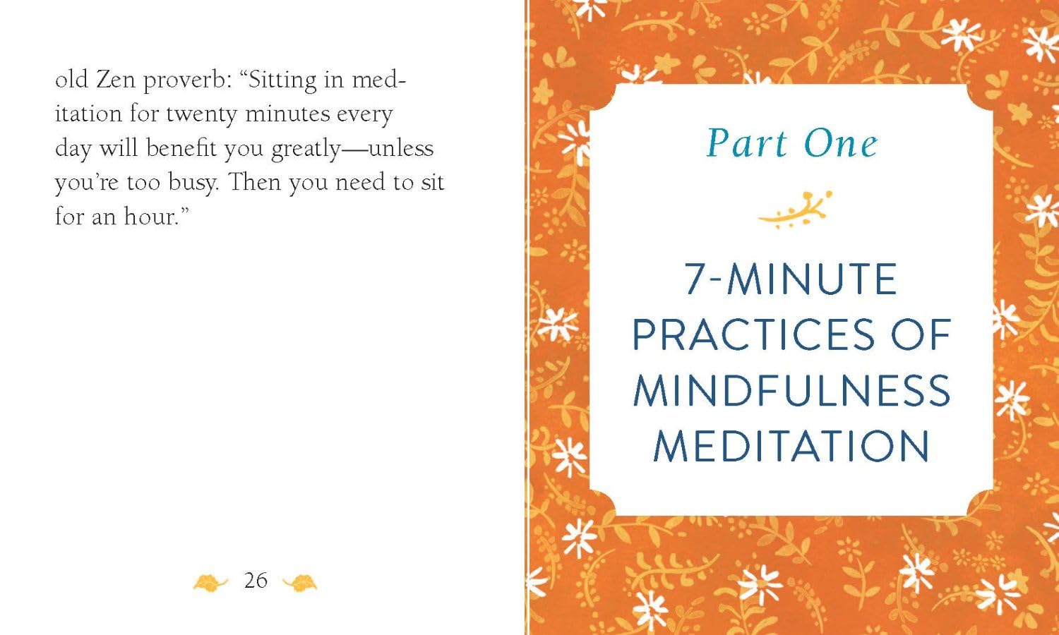 The Mini Book of Mindfulness: Simple Meditation Practices for Living in the Moment | Stress Relief & Focus Techniques | Perfect for Home, Office & Travel (RP Minis)