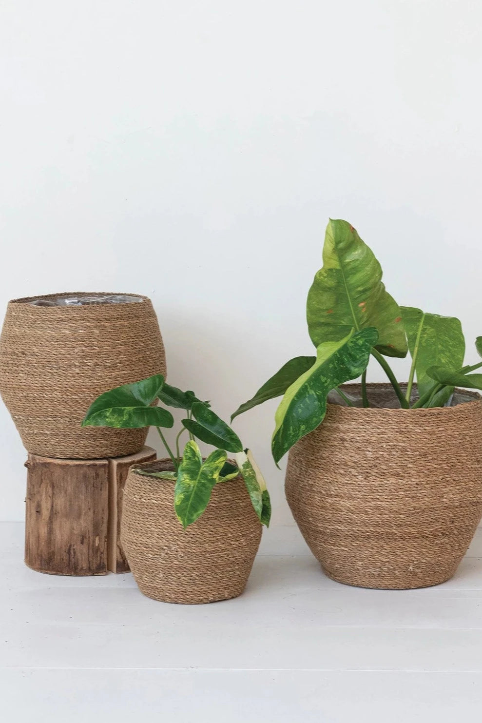 Handwoven Seagrass Basket Round Boho Style - Perfect for Beach Picnics, Home Decor & Storage | Eco-Friendly & Stylish