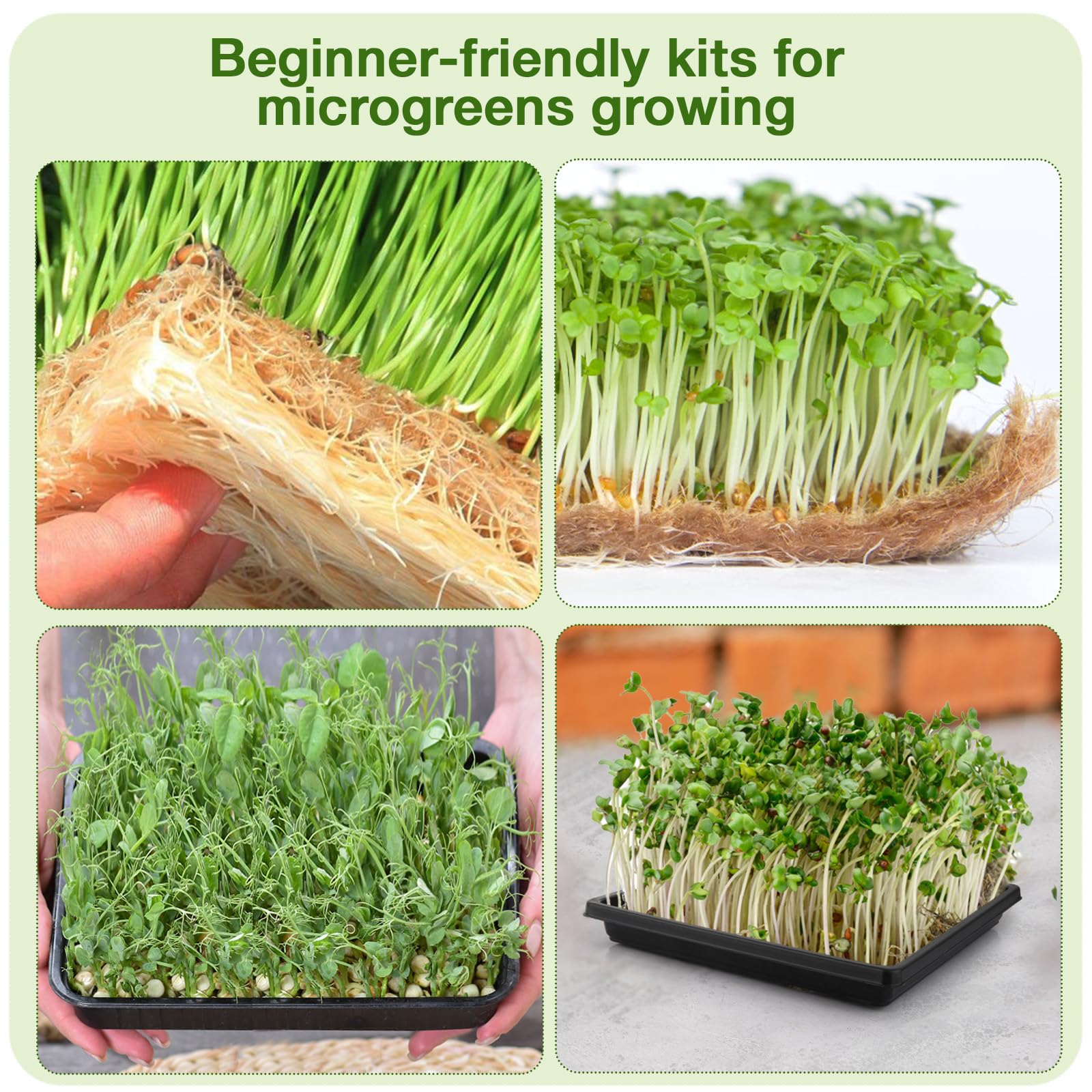 **12Pcs Hemp Mats & 6Pcs 10-Inch Square Trays - Microgreens Growing Kit for Indoor Sprouting, Herb Seeds Starter with Jute Pads (2 Tray Styles) - Perfect for Home Gardening, Healthy Salads & Organic Cooking**