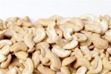 BULK Raw Cashew Pieces - 1 LB (16 oz) | Premium Quality Unsalted Cashew Nuts | Perfect for Baking, Snacking & Healthy Recipes