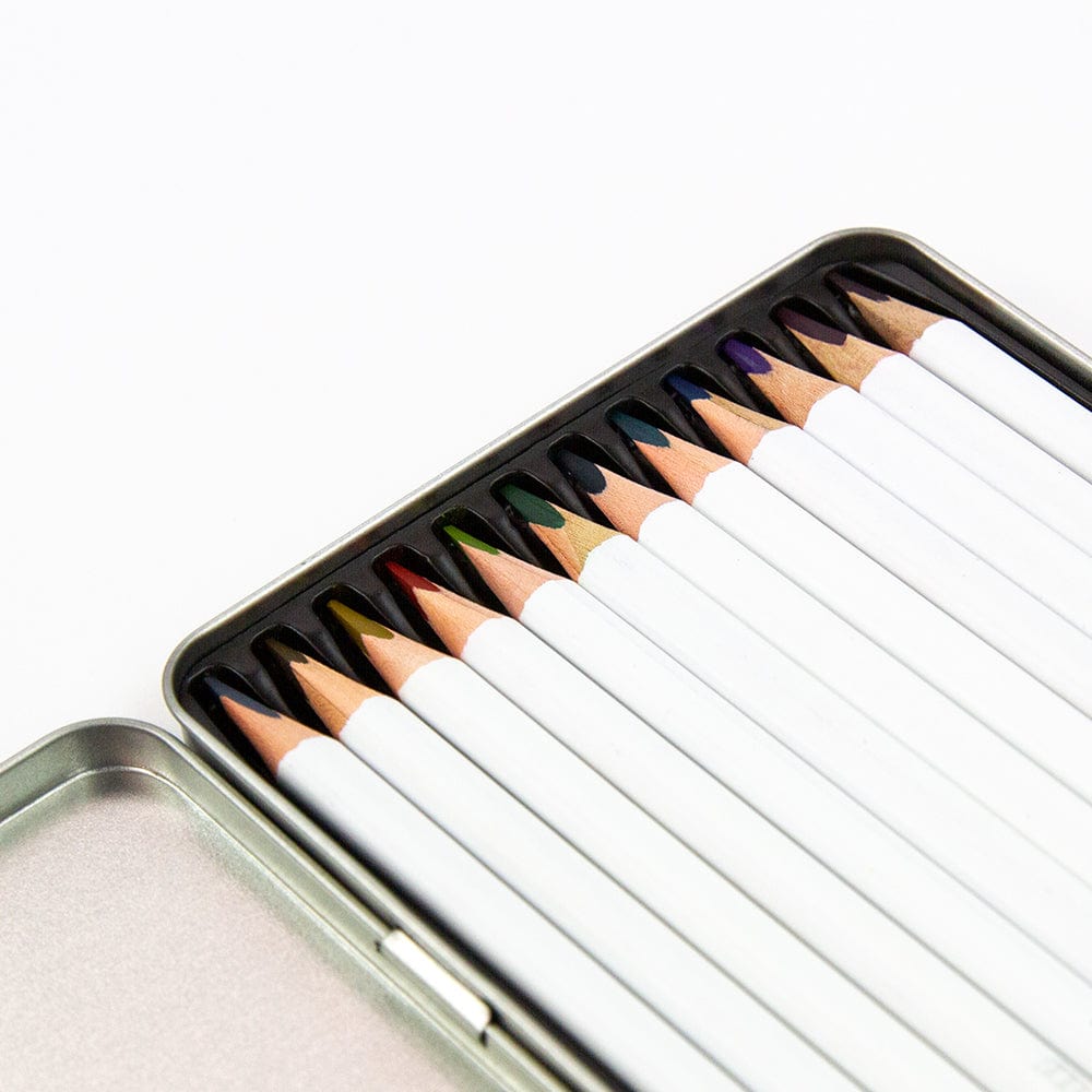 Nuvo Classic Color Pencils - 518N Dark Shadows Set for Professional Artwork & Sketching | Perfect for Drawing, Shading, and Detailed Illustrations