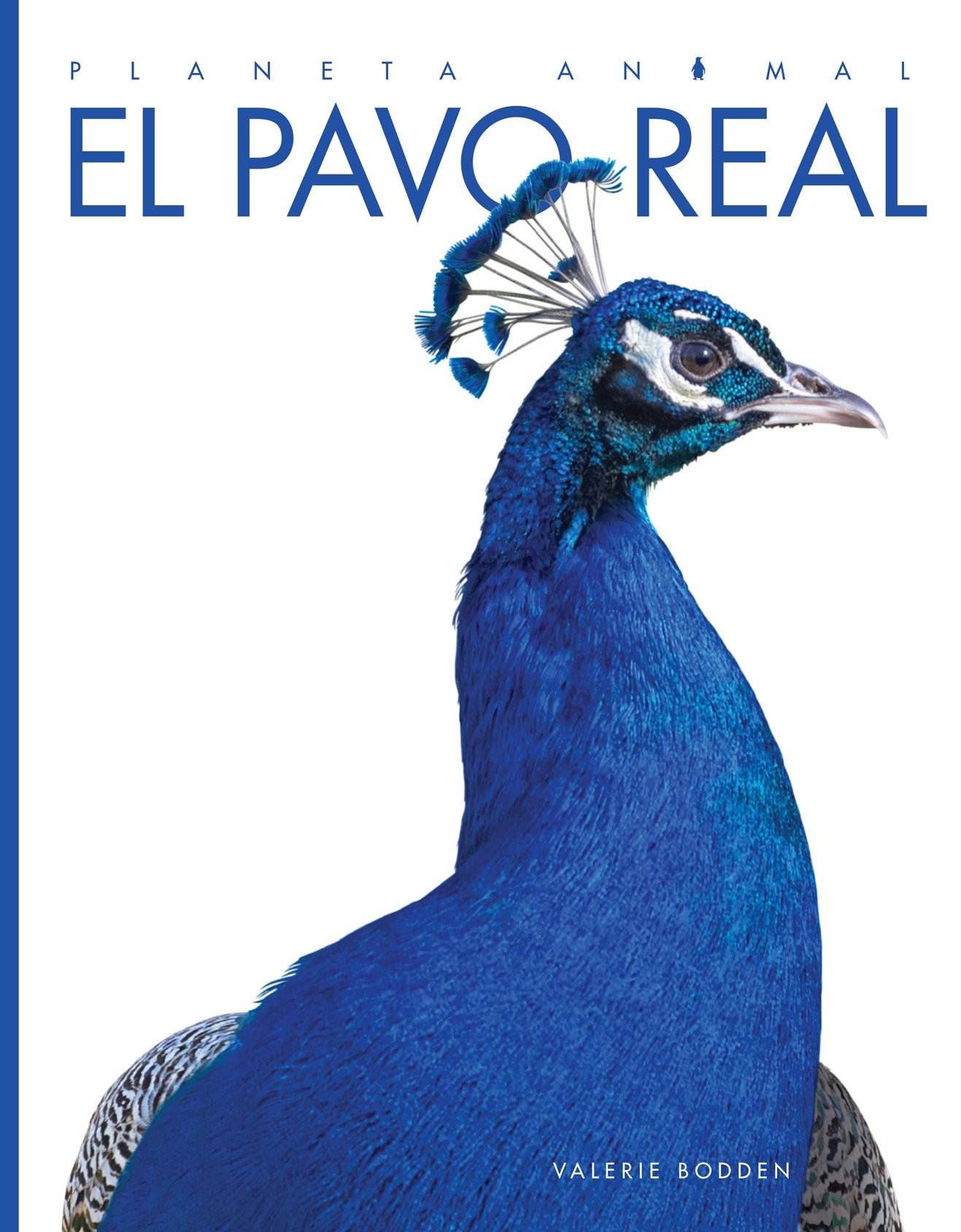 El Pavo Real Hardcover Book 9781608189373 - Perfect for Kids' Bedtime Stories & Classroom Reading