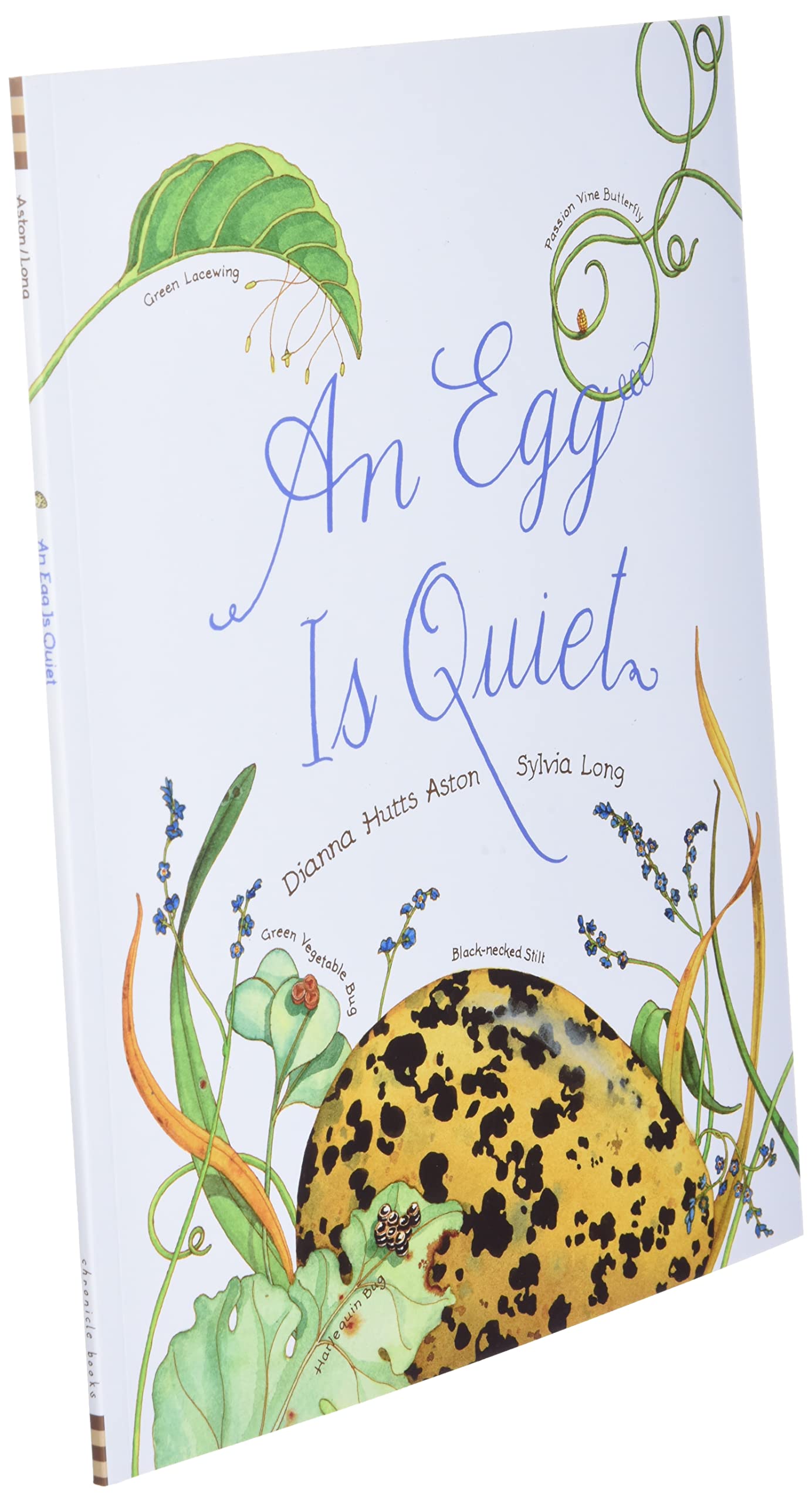 An Egg Is Quiet: Beautifully Illustrated Children's Picture Book About Eggs by Sylvia Long - Perfect for Storytime, Nature Education & Kids' Bedtime Reading