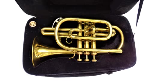 Premium Bb Cornet with Gold Finish - Professional Brass Instrument for Bands & Soloists - Includes Protective Case - Ideal for Performances, Practice & Music Education
