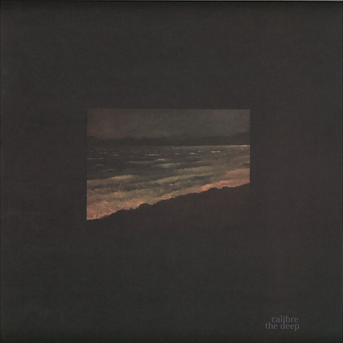 Calibre – The Deep Signature Records – SIGLP012 | Vinyl LP | Electronic & Drum & Bass Music | Perfect for DJ Sets & Home Listening