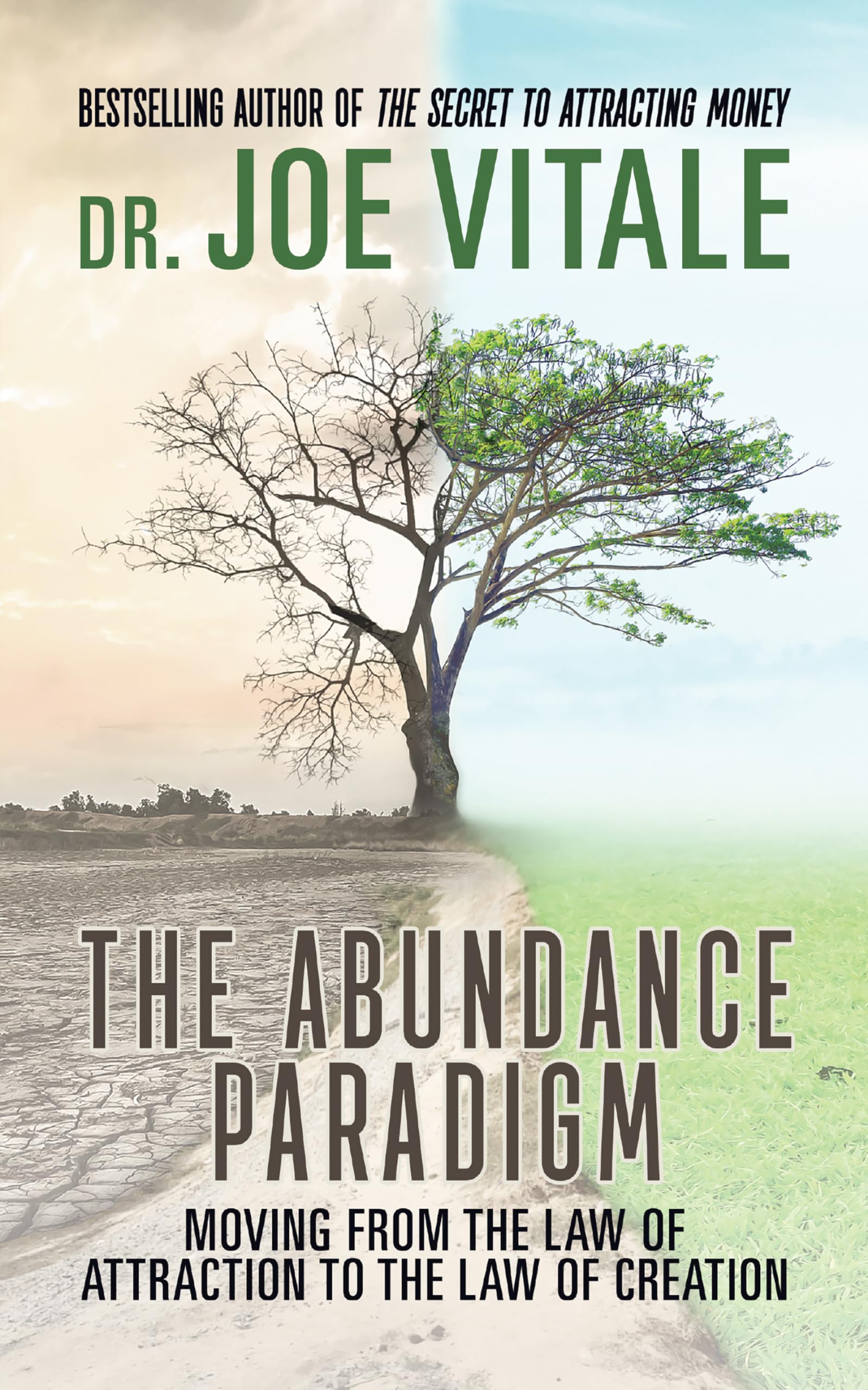 Unlock The Abundance Paradigm: Shift from Law of Attraction to Law of Creation | Manifestation Guide for Personal Growth & Success | Perfect for Spiritual Seekers and Self-Improvement Enthusiasts
