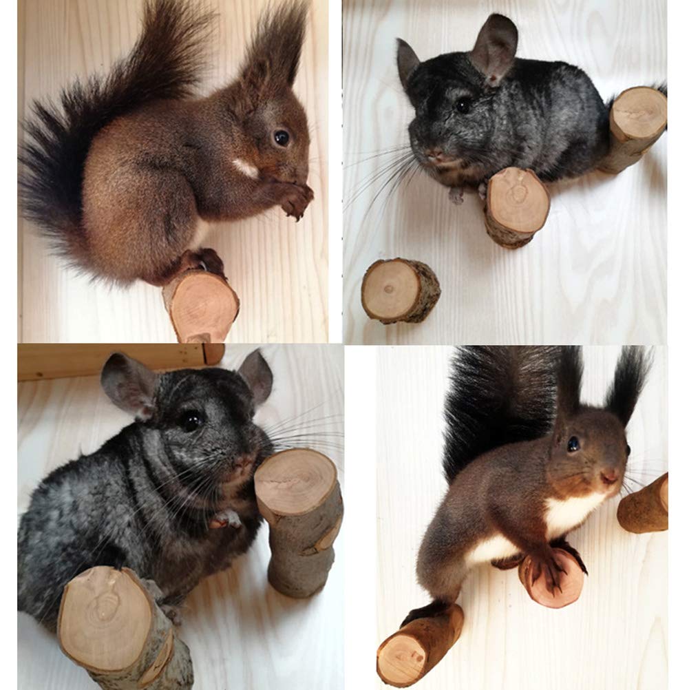 QBLEEV 3 Pack Natural Wood Chew Toys for Hamsters, Chinchillas, Guinea Pigs, Rats, Squirrels & Rabbits - Small Animal Teeth Care & Cage Accessories - Safe Wooden Chew Sticks & Perch Platform for Birds, Parrots & Bunnies - Perfect for Cage Enrichment & Dental Health