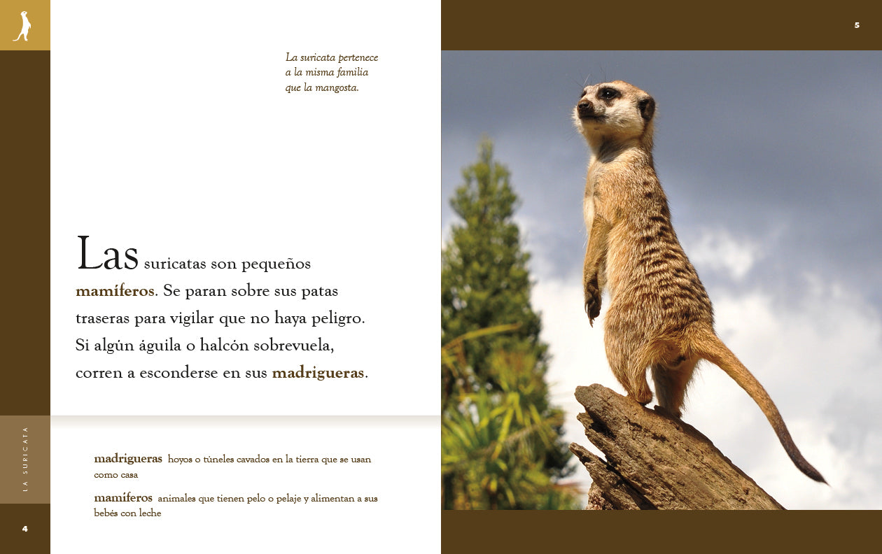 La Suricata Book 9781640266940 - Wildlife Adventure Story for Kids, Perfect for Bedtime Reading & Classroom Learning
