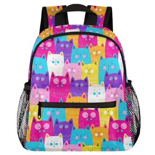 B-kitten