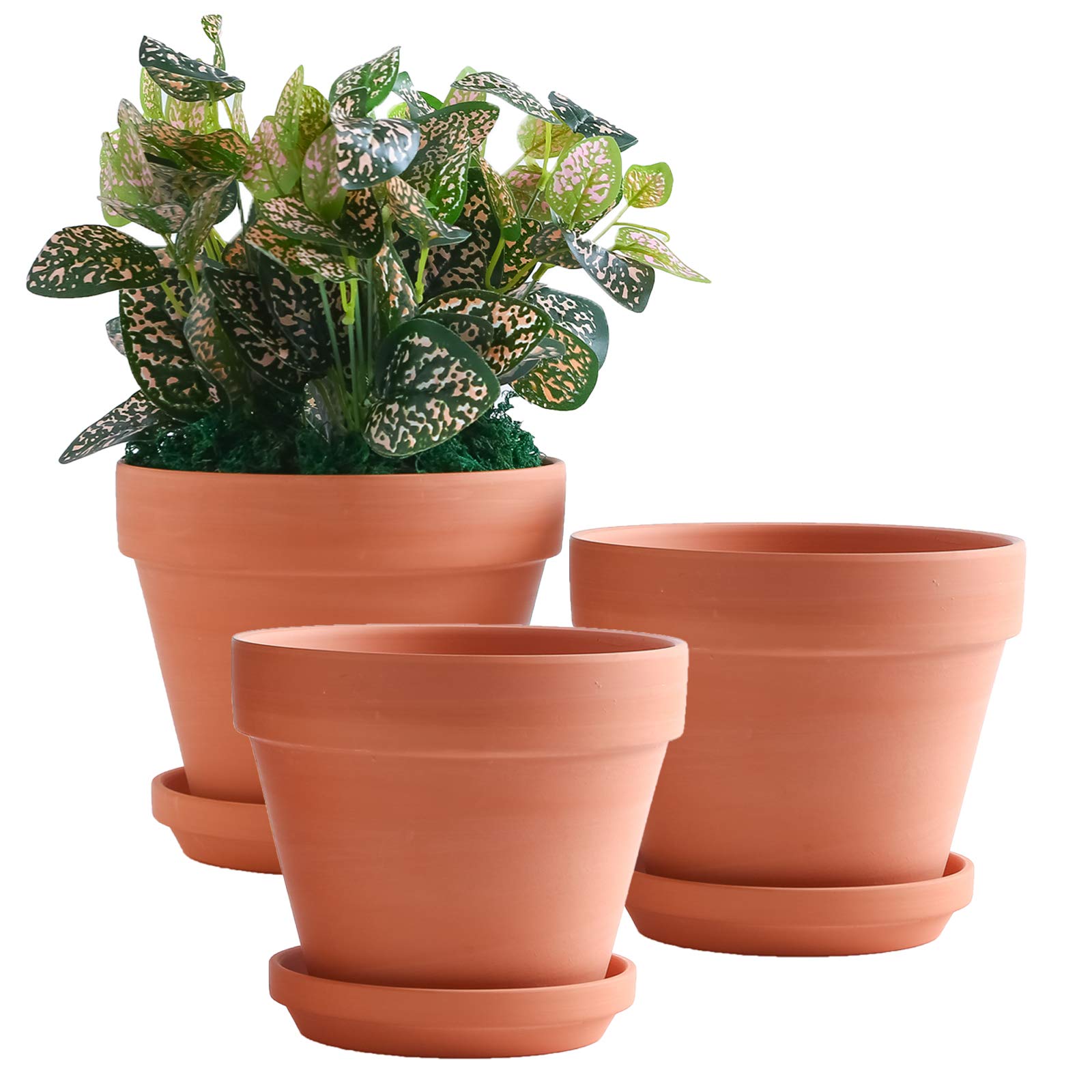 YISHANG 8 Inch Clay Flower Pots with Saucers - Set of 3 Large Terracotta Planters with Drainage Holes for Indoor/Outdoor Plants | Perfect for Succulents, Herbs & Home Garden Decor