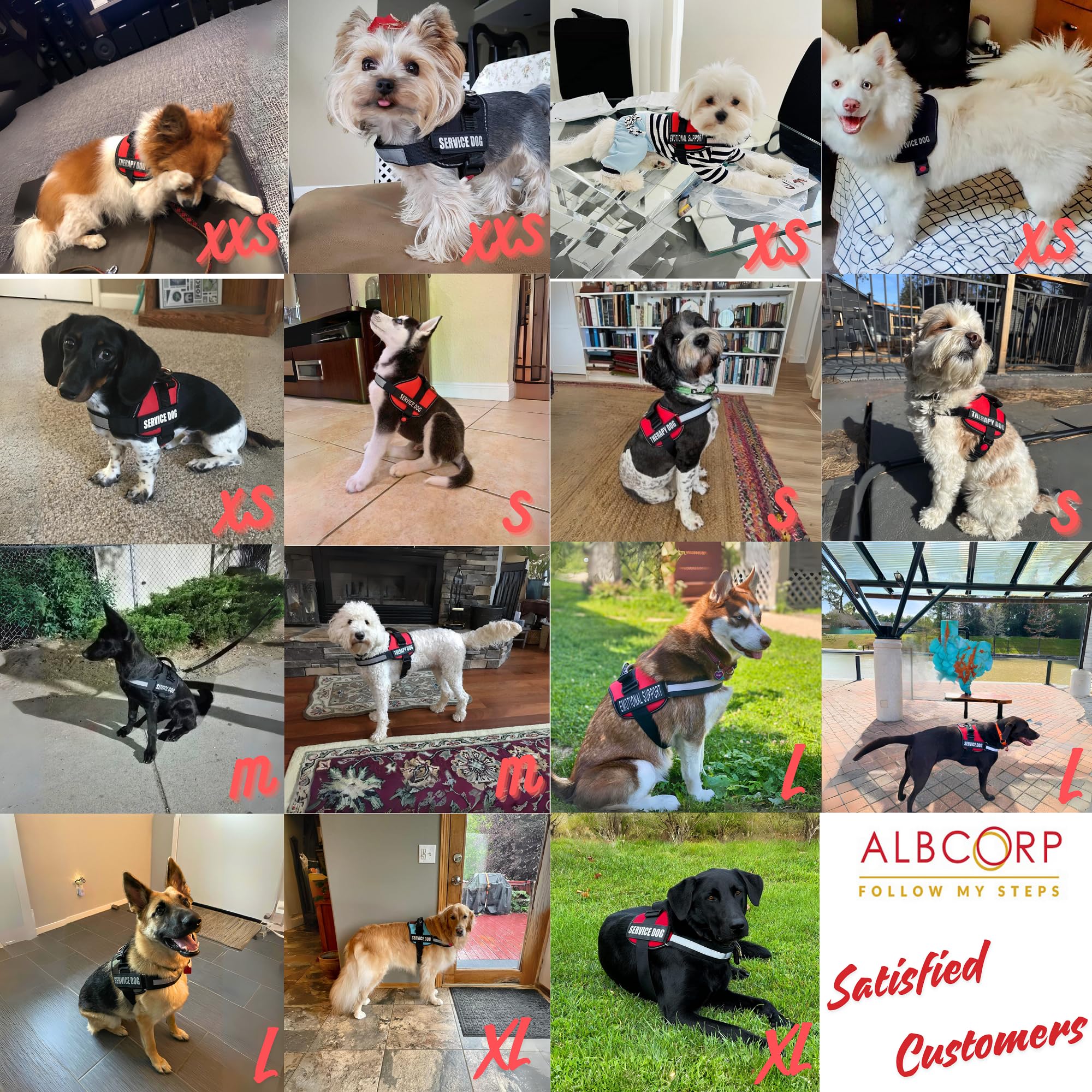 ALBCORP Emotional Support Dog Vest - Reflective Harness for Small Dogs with Comfortable Mesh Padding - XXS to XL Sizes - Includes ESA Patches (Red) - Perfect for Therapy Dogs, Travel & Public Outings
