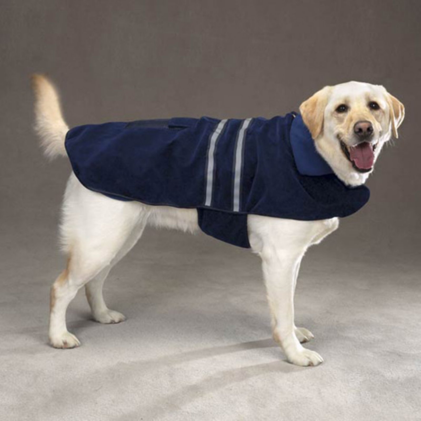 High-Visibility Reflective Dog Jacket for Small Breeds - 8