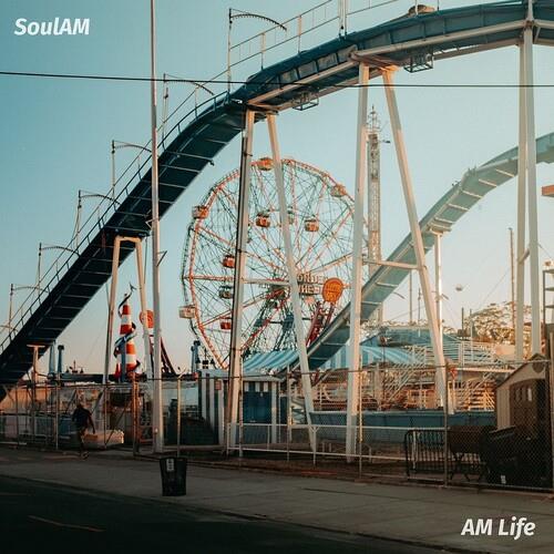 AM Life Vinyl LP Record - High-Quality 12-Inch Vinyl Album for Music Lovers | Perfect for Home Listening, DJ Mixing & Record Collecting