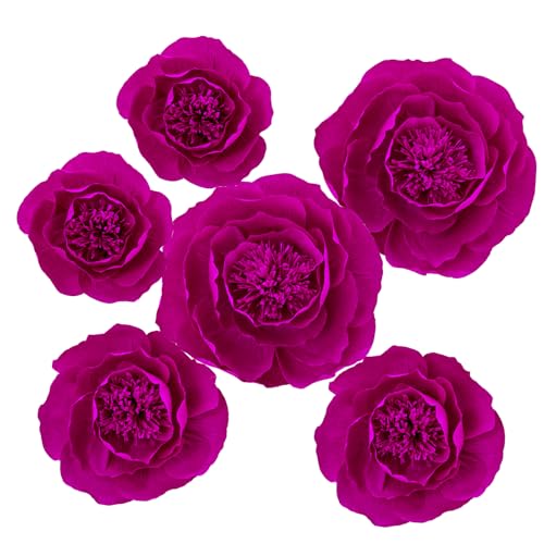 Rose;set/6