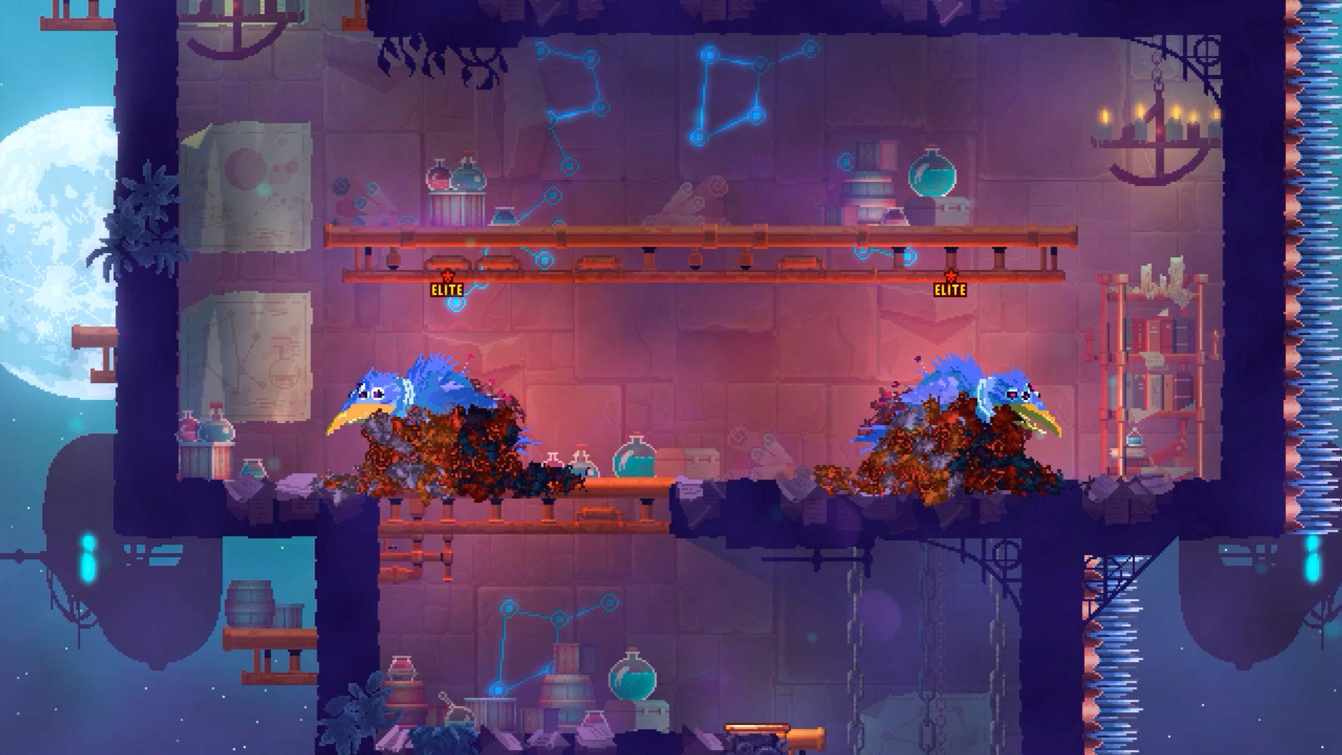 Dead Cells - Prisoner's Edition for Nintendo Switch | Action Roguelike Game | Perfect for Solo & Multiplayer Gaming Sessions