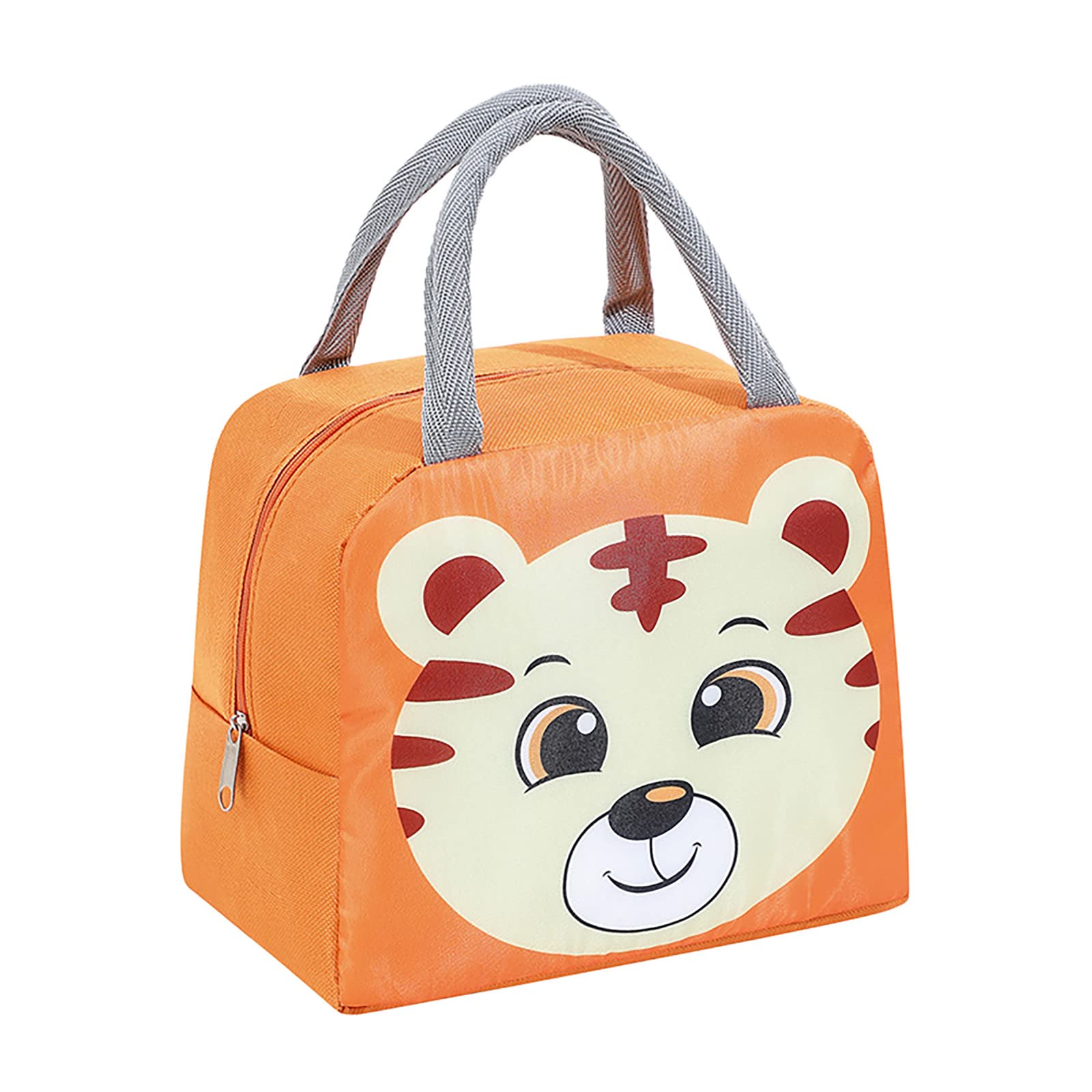 Insulated Lunch Bag for Women - Double Layer Aluminum Foil Bento Box with Oxford Cloth & Handles - Perfect for Work, Office, Picnics & Outdoor Meals