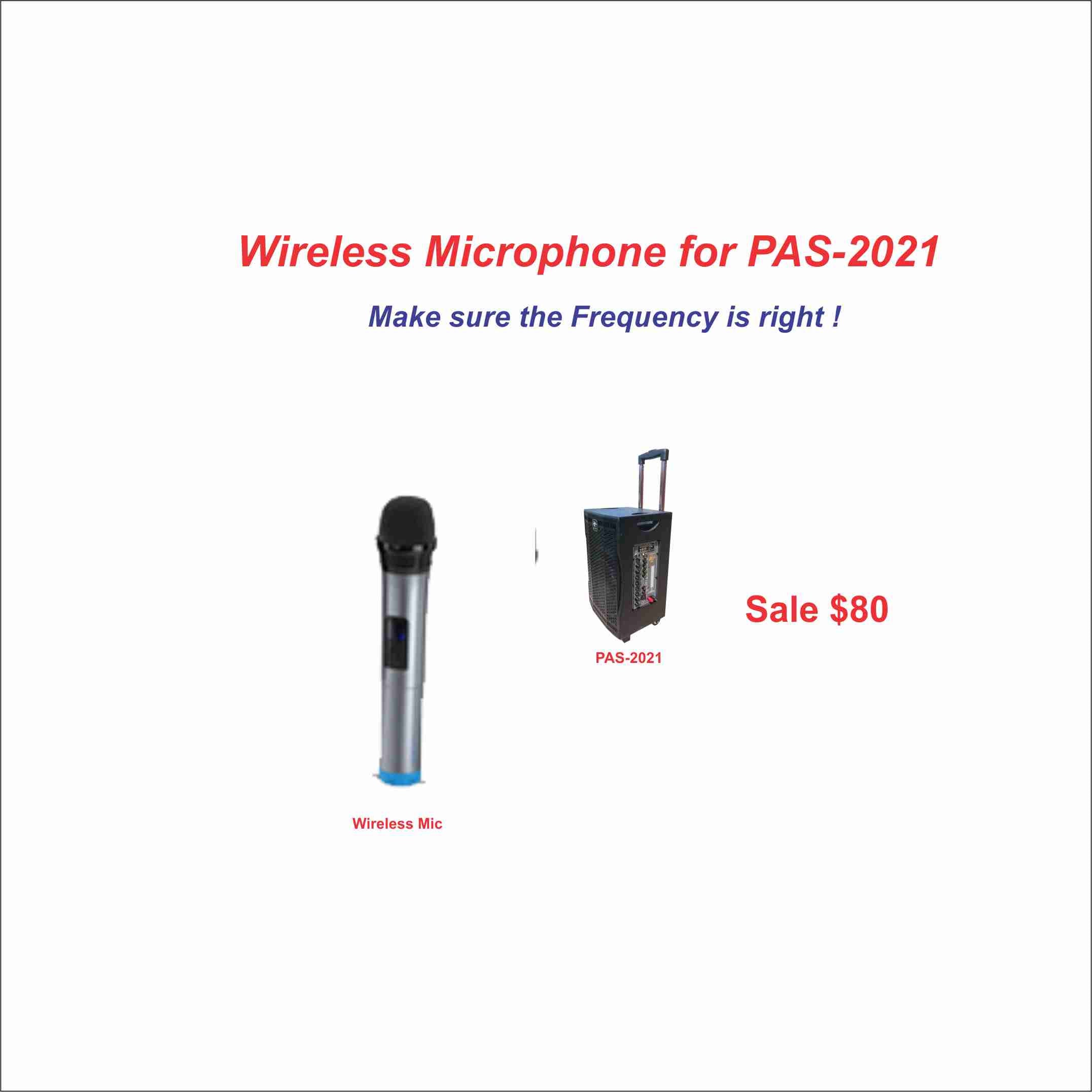 2021 PAS Wireless Microphone - Professional Portable Mic for Singing, Karaoke, Public Speaking & Live Performances - Ideal for Performers, Teachers & Presenters