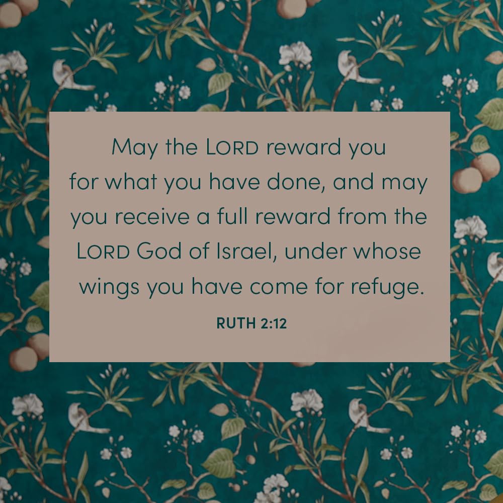 Ruth: Loss, Love & Legacy - Bible Study Book (Revised & Expanded) with Video Access | Christian Devotional for Women's Small Groups & Personal Spiritual Growth