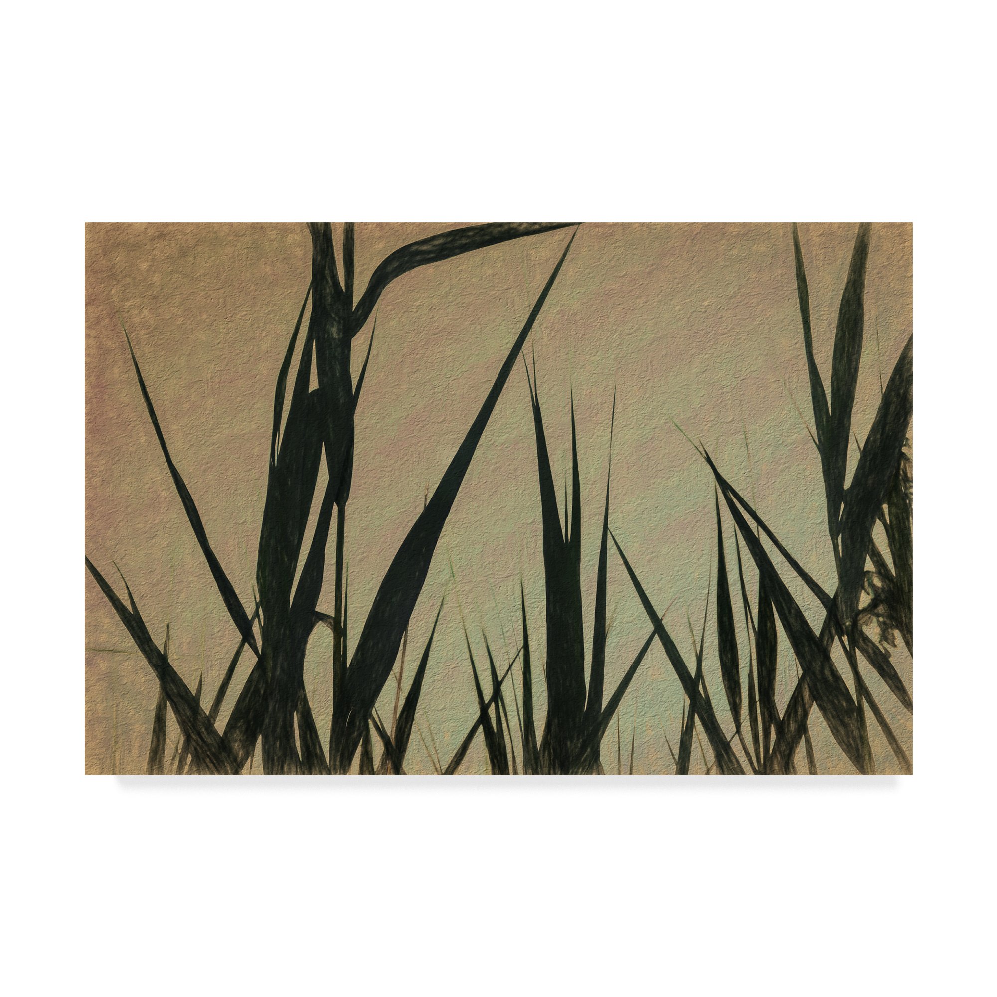 Anthony Paladino Sunset Corn Stalks Pencil Drawing - 30x47 Inch Wall Art for Farmhouse Decor, Country Living Room & Rustic Office
