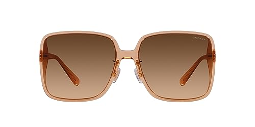 Transparent Brown/Brown Gradient
