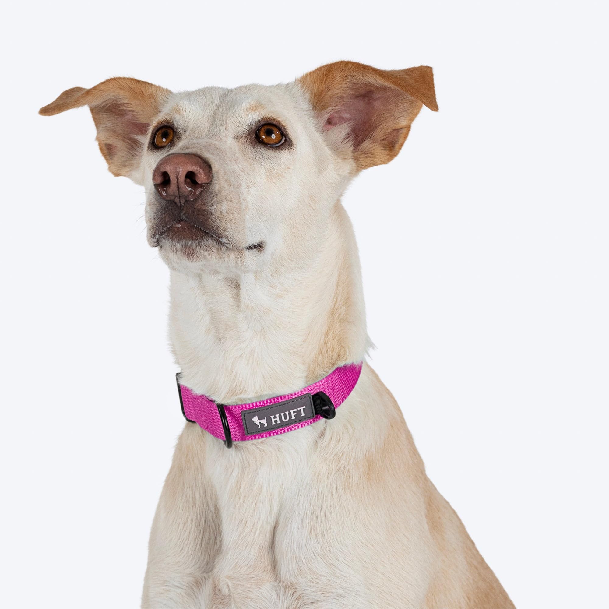 HUFT Basics Adjustable Pink Dog Collar (Size S) - Strong & Lightweight Pet Collar for Small, Medium Dogs & Puppies | 37x2 cm | Perfect for Daily Walks, Training & Outdoor Adventures