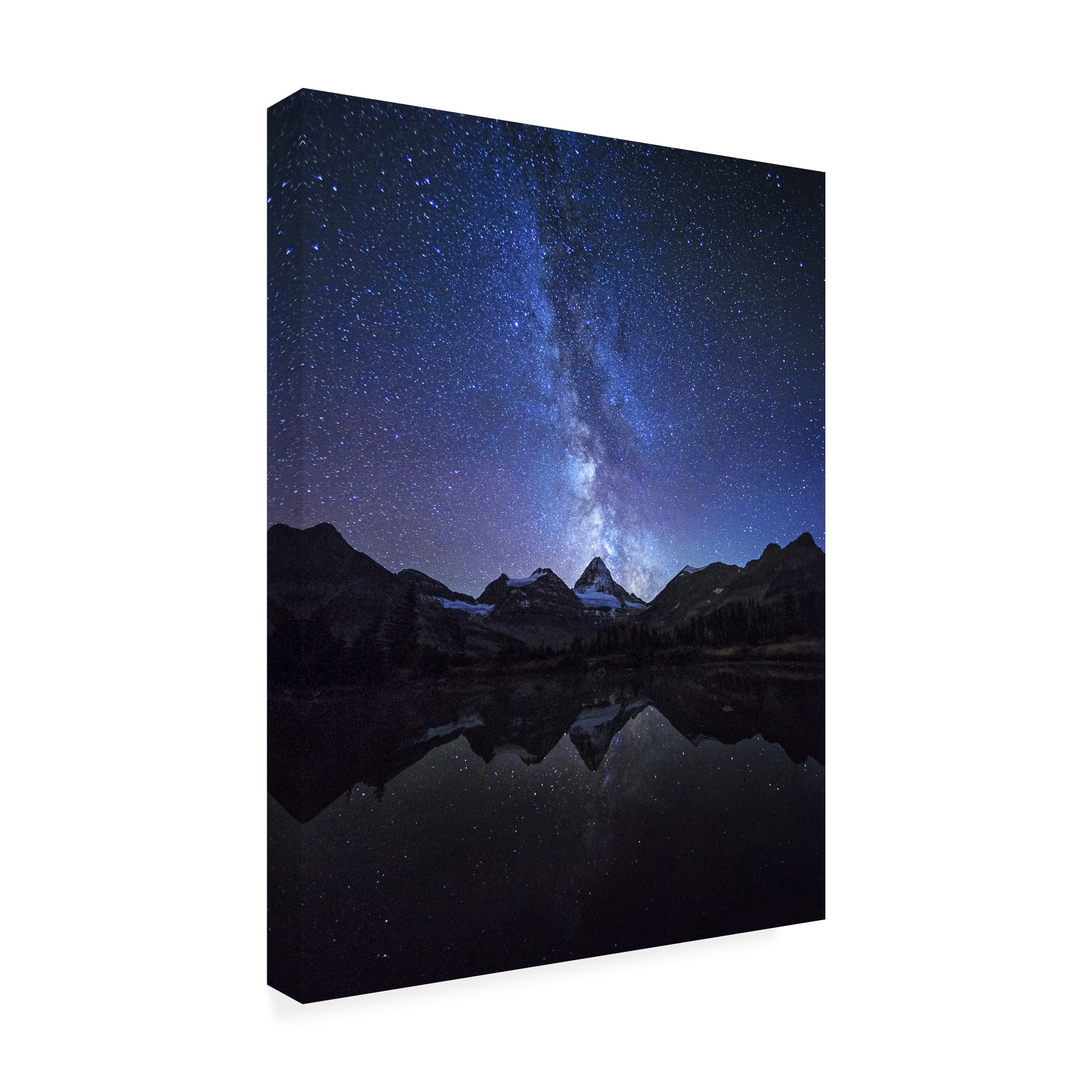 Trademark Fine Art 'Million Stars' Canvas Wall Art Print by Naphat Chantaravisoot - Modern Home Decor for Living Room & Bedroom