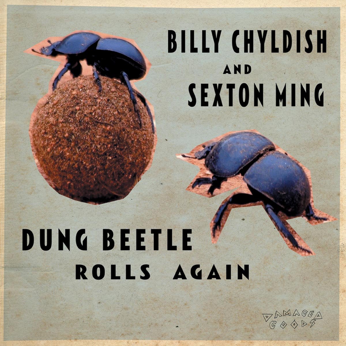 Dung Beetle Rolls Again - Fun and Educational Insect Toy for Kids - Perfect for Science Projects, Nature Exploration, and Outdoor Play