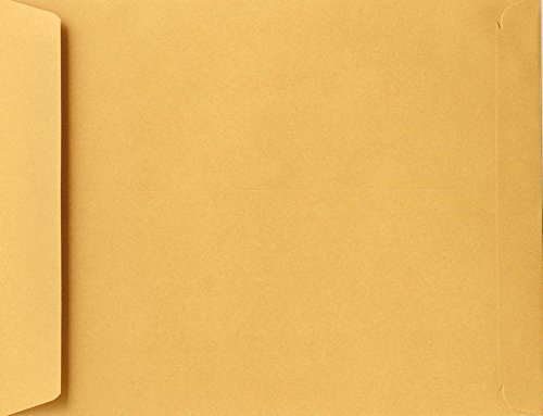Premium 9 x 12 Open End Envelopes - Brown Kraft Paper - 28lb Text Weight - Pack of 250 | Perfect for Mailing, Business Correspondence & Wedding Invitations