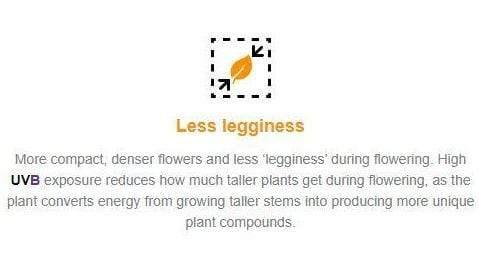 Solacure Flower Power UVB Complete Grow Light Kit for Indoor Plants - 1m Full Spectrum UVB Lamp for Hydroponics, Greenhouses & Home Gardening