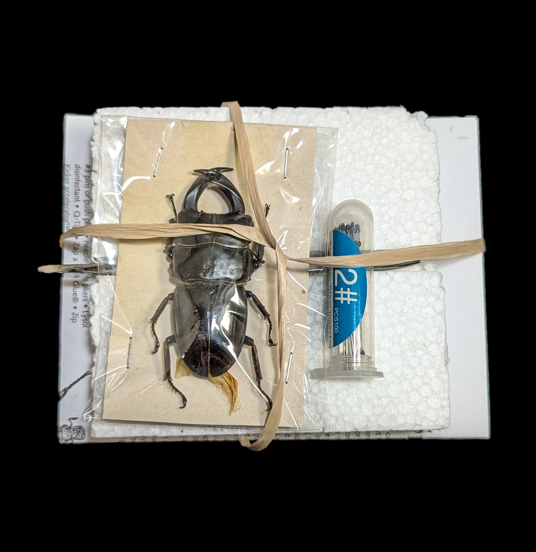 Paxton Gate Premium Insect Spreading Kit - Entomology Display Tools for Butterfly & Bug Collections - Perfect for Science Classrooms, Nature Studies & Taxidermy Hobbyists