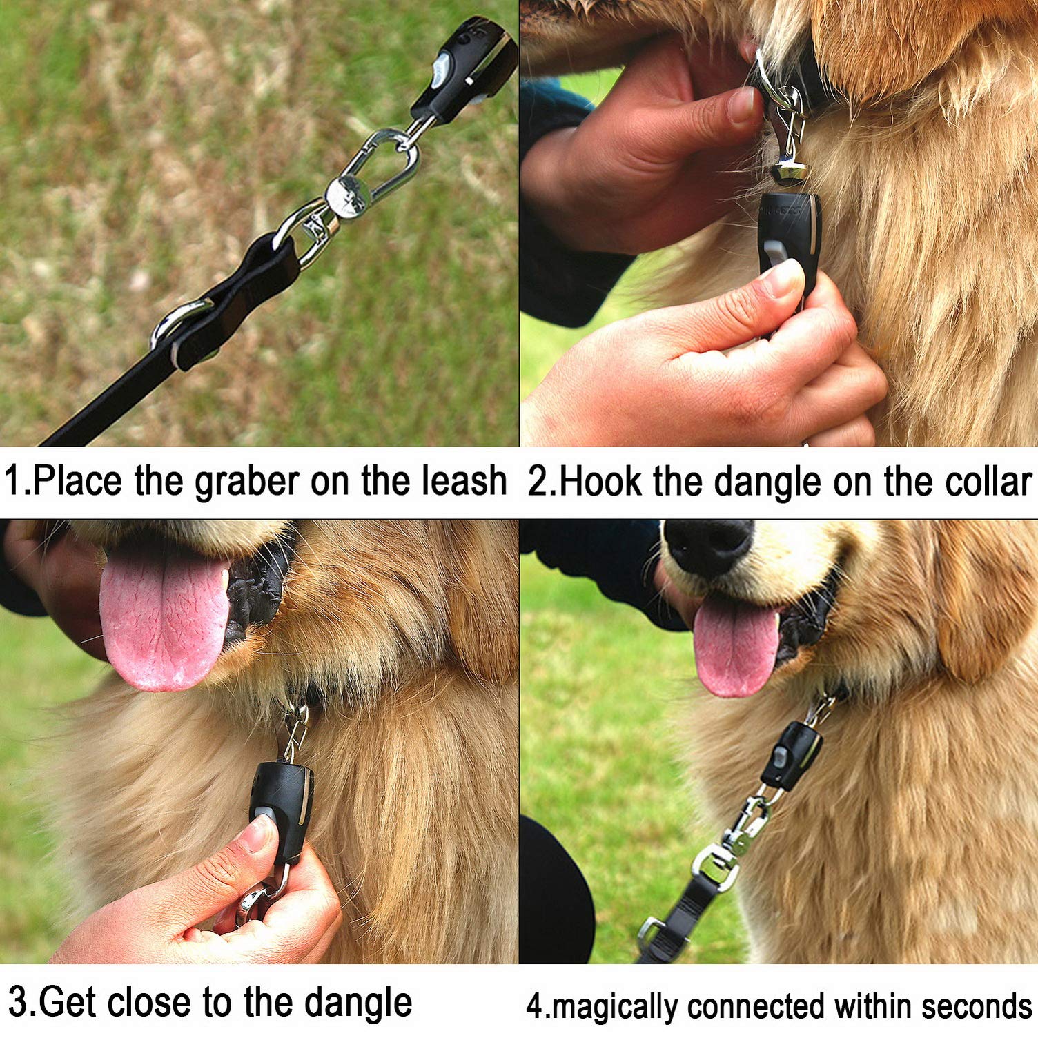 Ranphy Automatic Magnetic Dog Leash Connector - One Touch Quick Release Latch with Stainless Steel Fastener for Harness & Collar | Perfect for Outdoor Walking, Training & Daily Use (Black)