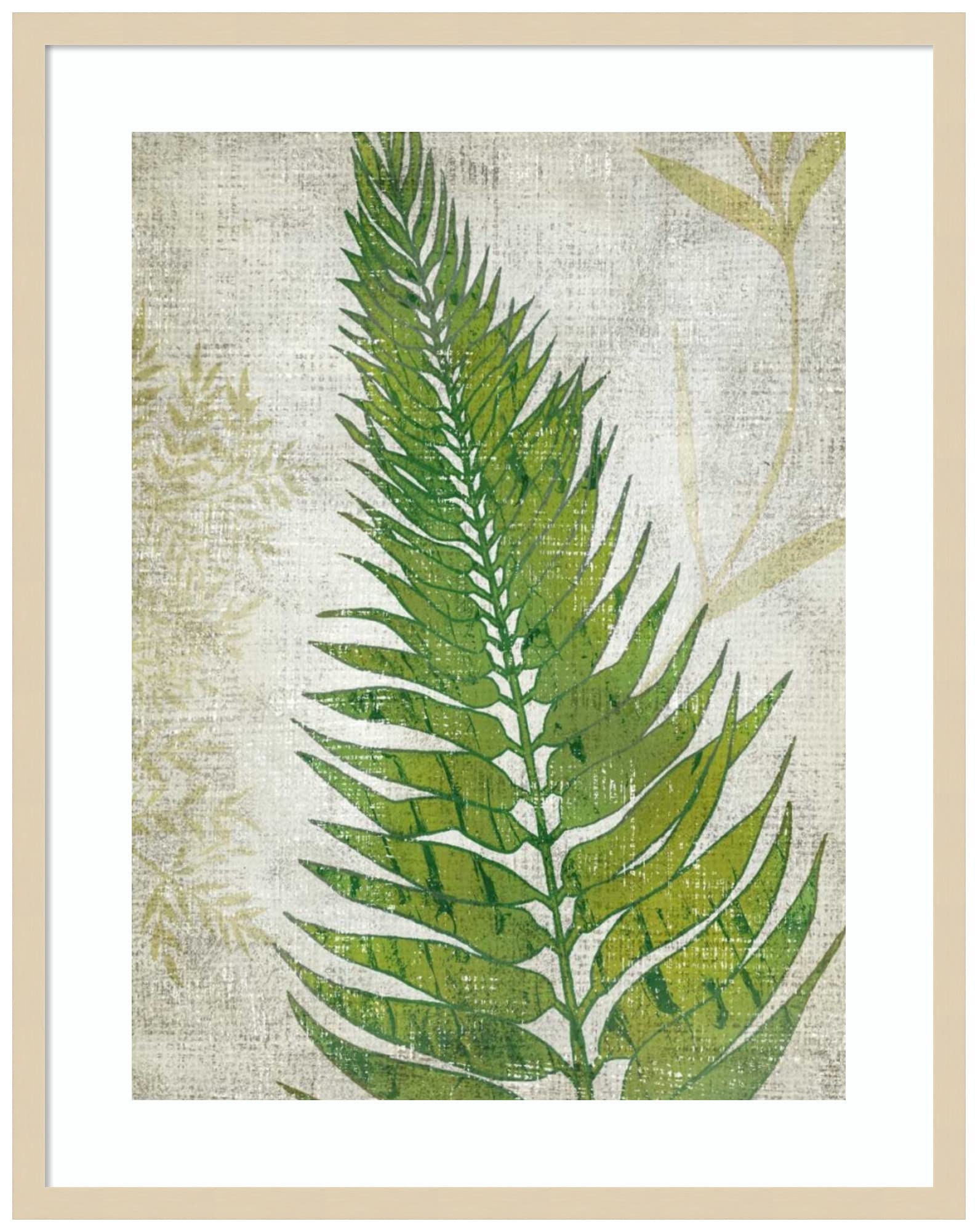Amanti Art Framed Wall Art Print 33x26 - Frond II by Chariklia Zarris | Nature-Inspired Modern Decor | Large Contemporary Painting for Living Room, Bedroom, Office | Perfect for Home & Office Decoration