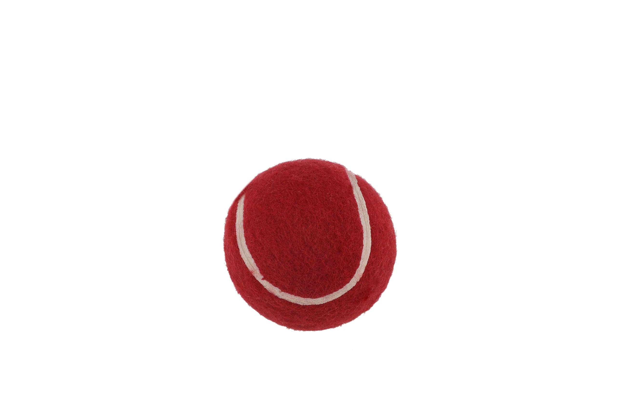 SS Mini Cricket Set - Portable Cricket Kit for Kids & Adults - Perfect for Backyard, Beach, and Park Games