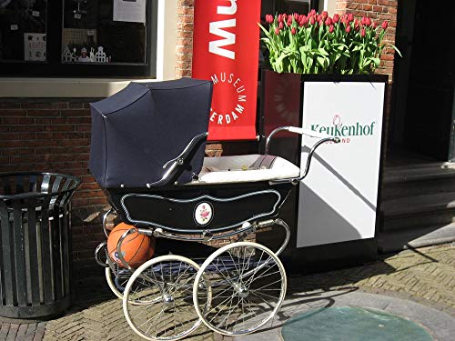 Amsterdam Tulips Baby Carriage Laminated Poster - 20x30 Inch Vibrant Wall Art for Nursery, Living Room & Office Decor - Waterproof & Durable Print Fits Standard Frames