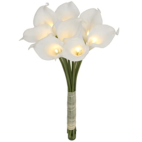 White-calla Lily