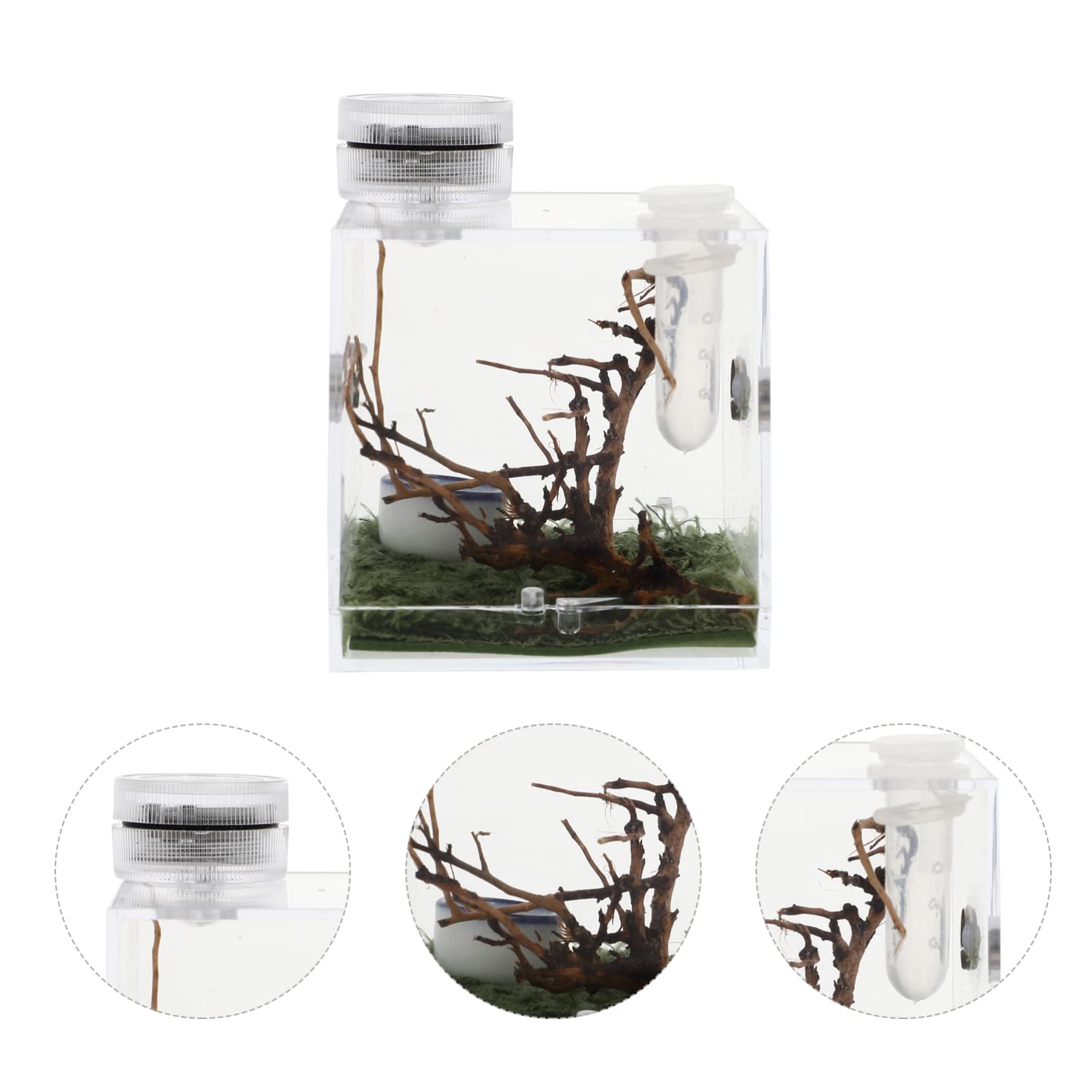 Premium Acrylic Reptile Terrarium with Built-in LED Light - 20 Gallon Transparent Spider Enclosure Habitat for Tarantulas, Lizards & Small Pets - Perfect for Home, Office or Classroom Display