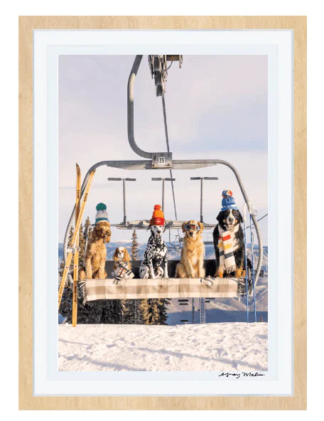 Gray Malin Chairlift Pups Vertical Print - Premium Wall Art for Home & Office Decor - Perfect for Living Rooms, Bedrooms & Gifts
