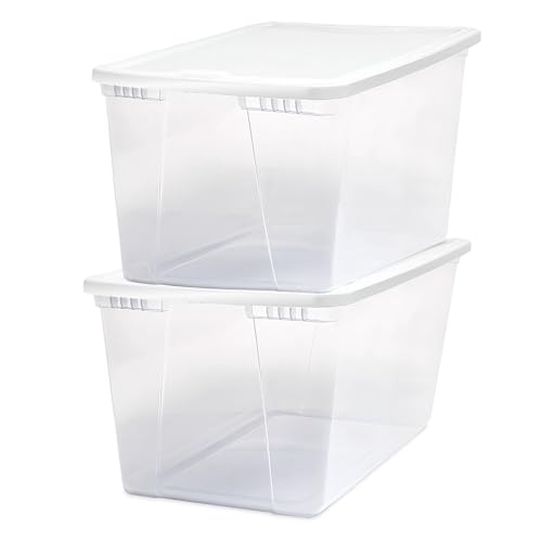 White Lid