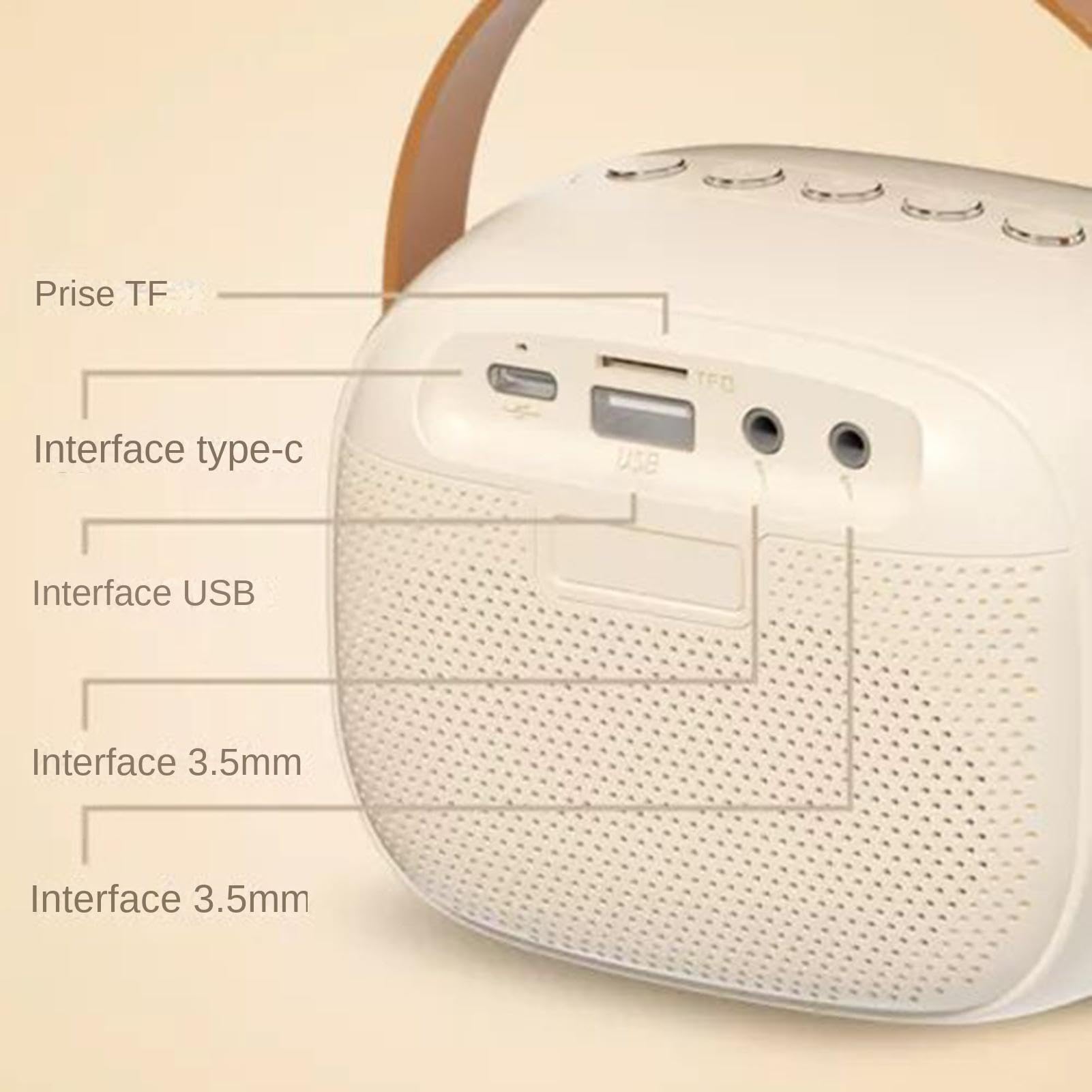 Portable Wireless Karaoke Machine with 2 Microphones - High Quality Bluetooth Karaoke System for Adults - Perfect for Home Parties, Family Gatherings & KTV Entertainment