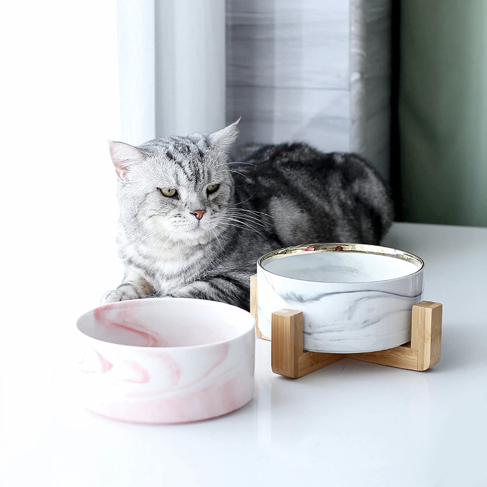 Balacoo Ceramic Cat & Dog Bowl with Stand - Elevated Pet Food and Water Dish for Cats, Puppies, Small Dogs - Durable Ceramic Feeder for Home, Kitchen, or Outdoor Use