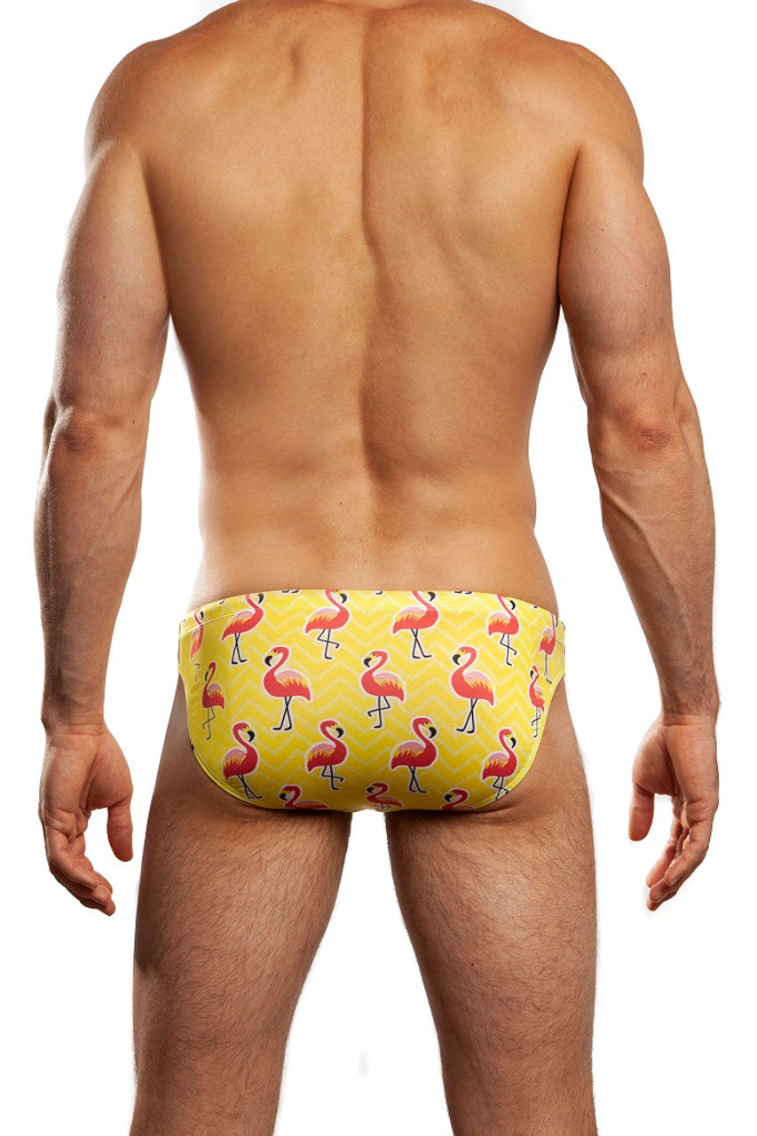 Jack Adams Flamingo 1 Swim Brief - Men's Colorful Swimwear for Beach & Pool - Perfect for Summer Vacation, Swimming Lessons & Water Sports