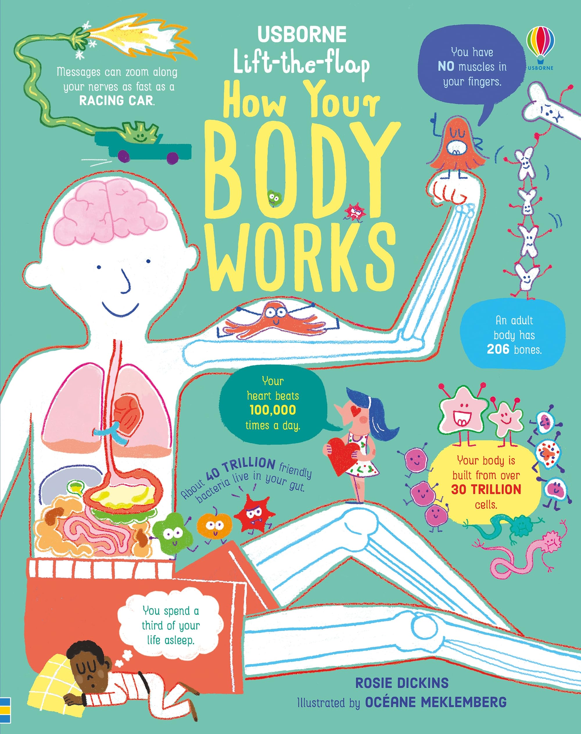 Interactive Lift-the-Flap Book: How Your Body Works - Human Anatomy Learning for Kids, Fun Educational STEM Toy - Perfect for Homeschooling & Classroom Science Lessons
