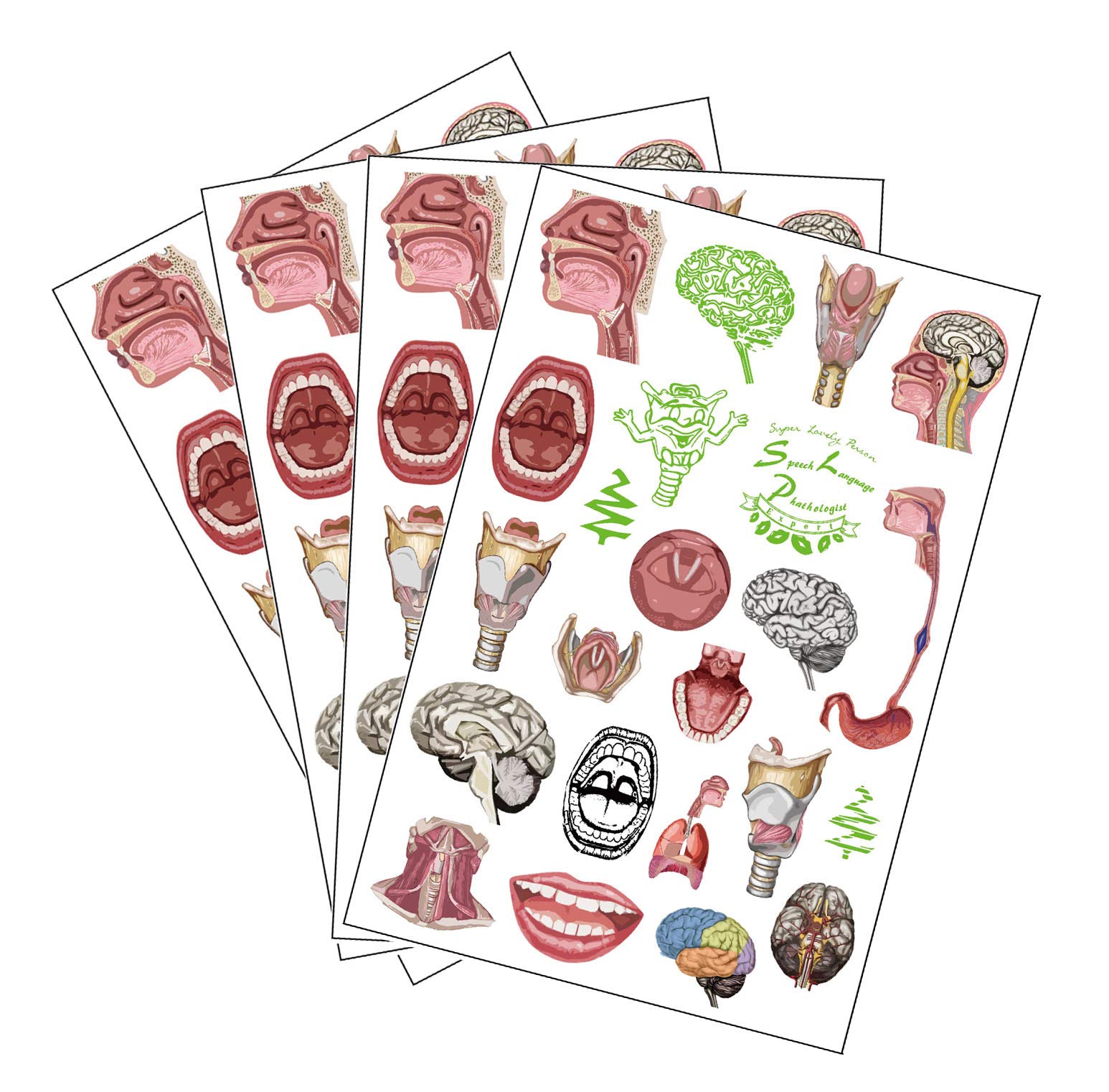 SLP Anatomy Body Glow & Color Tattoo Set - 4 Pack Temporary Tattoos for Halloween, Cosplay & Body Art - Waterproof & Long-Lasting for Parties & Festivals