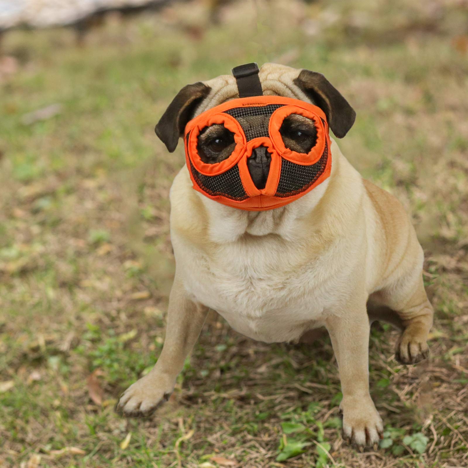 KittyStar Adjustable Bulldog Muzzle for Short Snout Dogs - Breathable Mesh Design Prevents Biting, Chewing & Barking - Comfortable Fit for Bulldogs, Pugs & Flat-Face Breeds (Orange, Large) - Perfect for Grooming, Vet Visits & Training Sessions