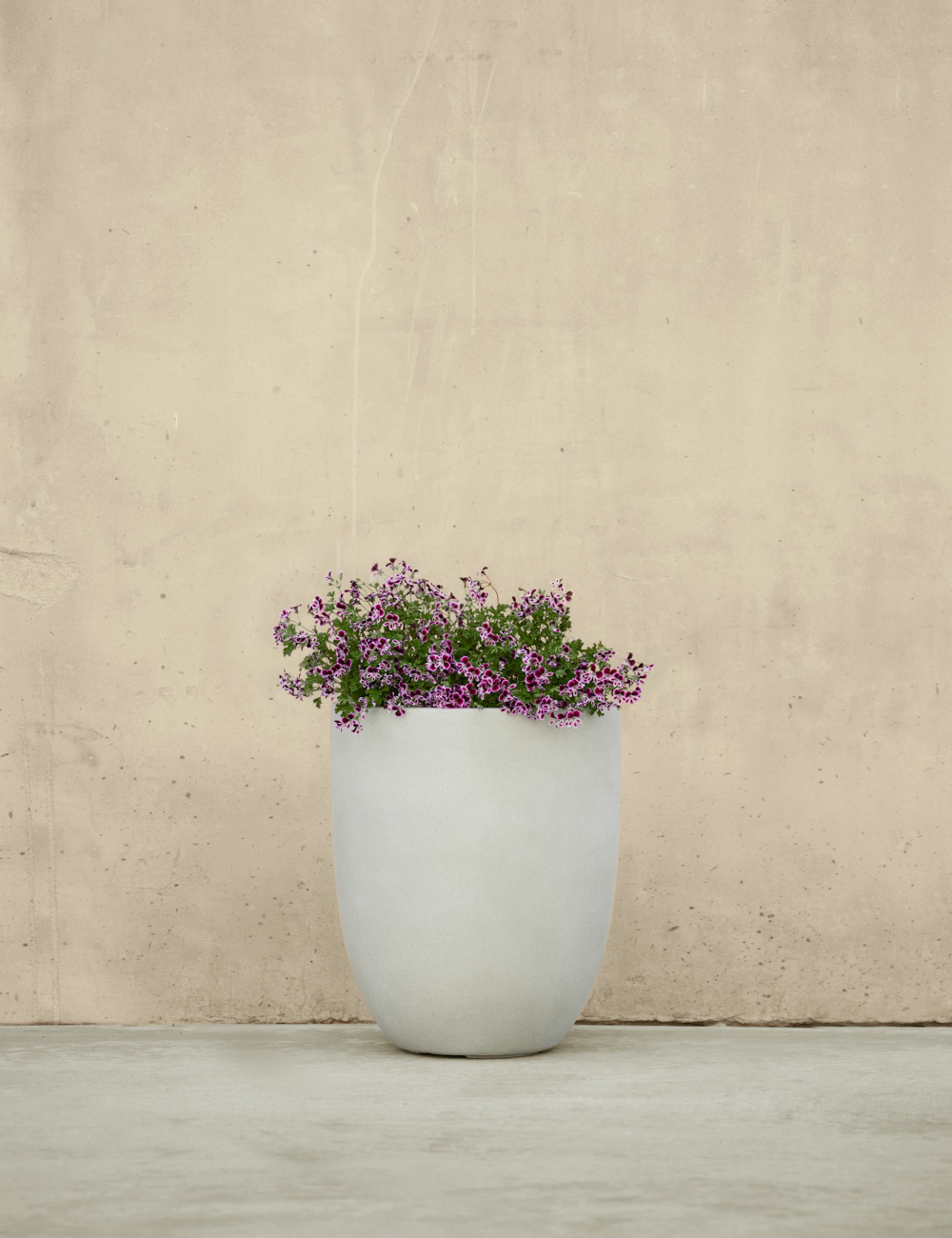 Campania International Bradford Planters - Elegant Garden Planters for Outdoor & Indoor Decor - Perfect for Patios, Balconies, and Home Gardens