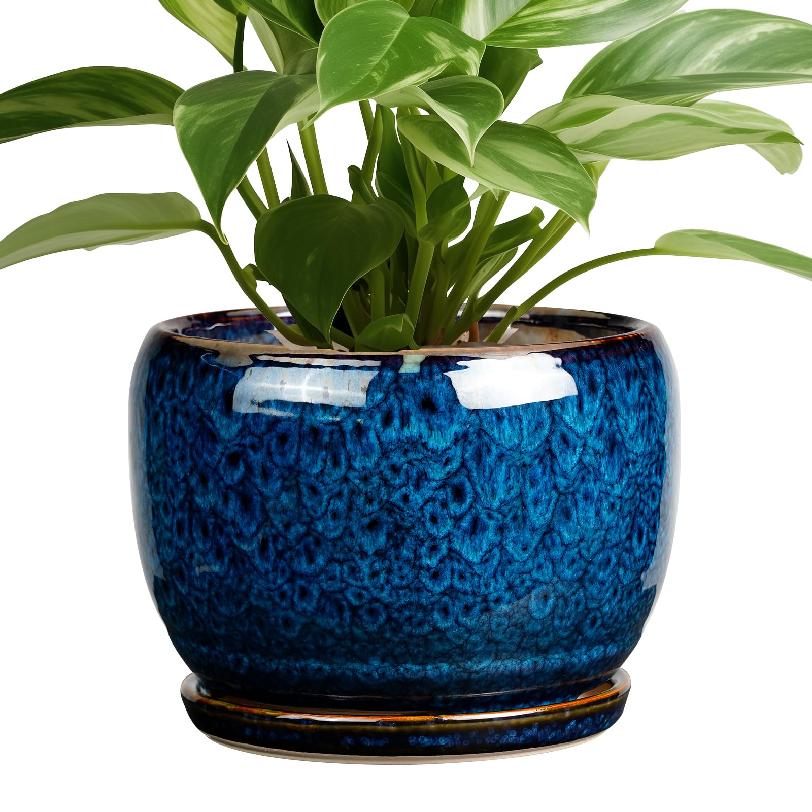 SQOWL 8 Inch Ceramic Planter with Drainage Hole & Saucer - Modern Round Glazed Blue Flower Pot for Indoor Outdoor Plants | Perfect for Home Decor, Office Desk, Garden, and Patio