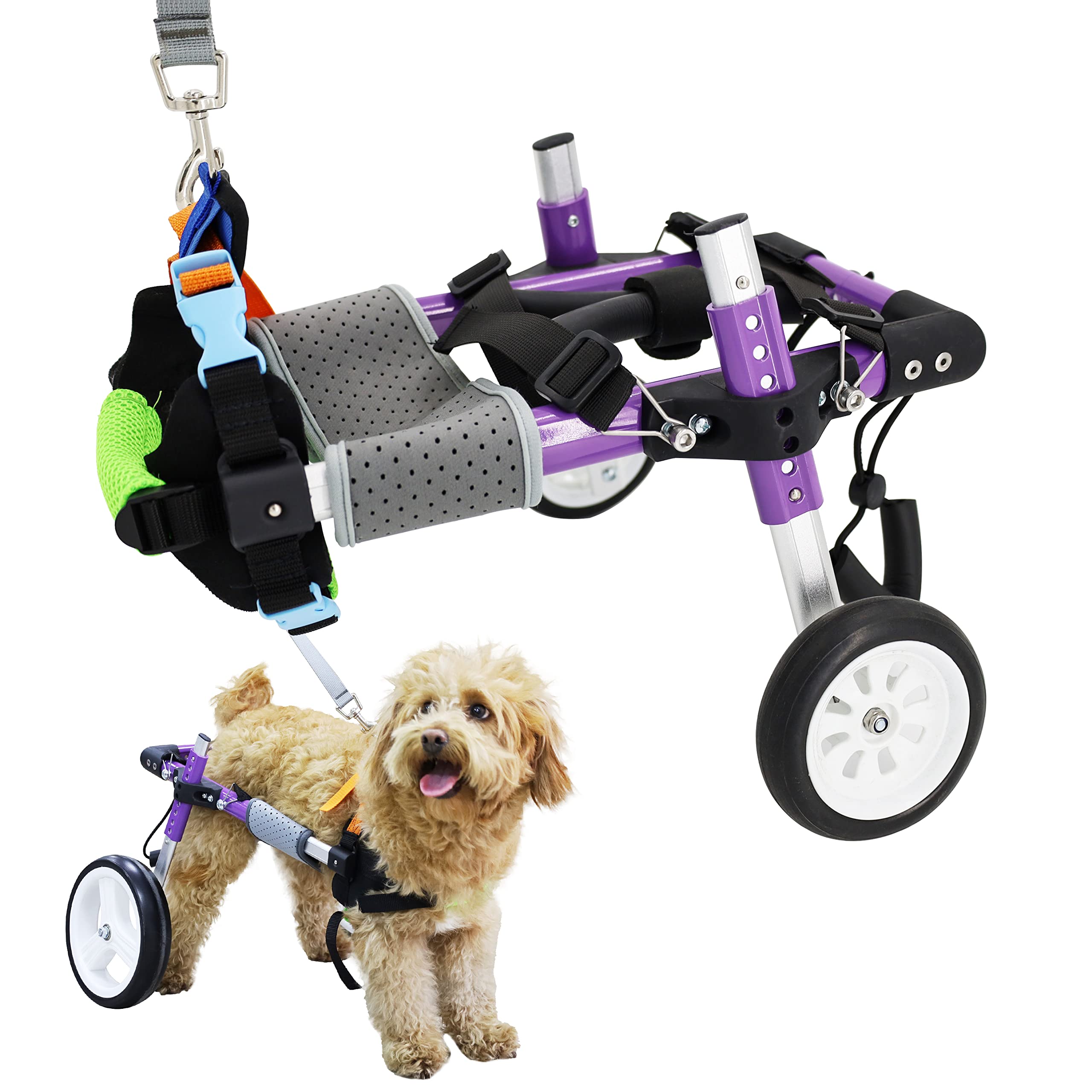Adjustable Dog Wheelchair for Back Legs - Pet Mobility Aid for Small to Medium Dogs with Disabled Hind Legs (XS-B) - Perfect for Rehabilitation, Injury Recovery & Daily Mobility Support
